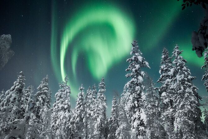 Snowmobile Safari to Search for the Northern Lights - Snowmobile logistics: driver rules, shared seats, and optional insurance