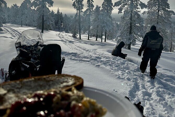 Snowmobile Safari to the Wilderness - Key Highlights You’ll Feel Immediately
