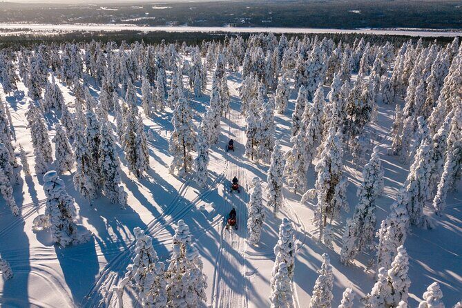 Snowmobiles and Huskies - Snowmobiles and huskies in Rovaniemi: a 4.5-hour winter hit