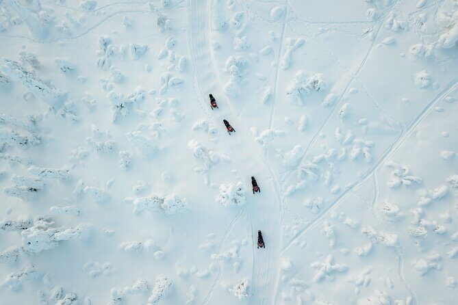 Snowmobiling Quick Spin - 2 h snowmobile experience in Rovaniemi - Quick hits before you go