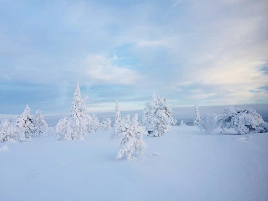Snowshoe experience with traditional beverages in Lapland - Lapland snowshoes: why this feels different than just walking