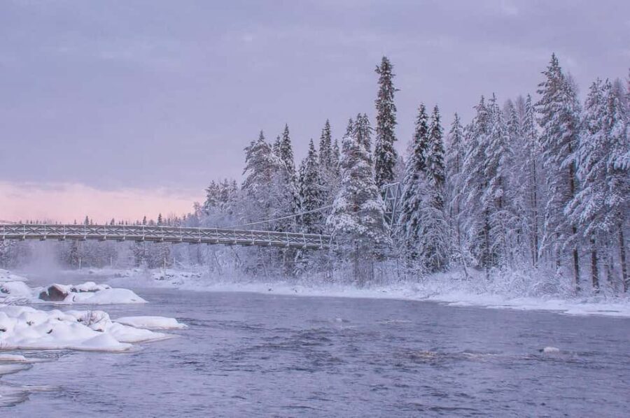 Snowshoe experience with traditional beverages in Lapland - Photos, guide style, and the fun factor