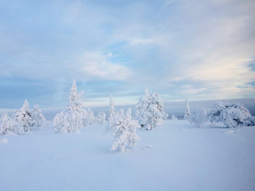 Snowshoe experience with traditional beverages in Lapland - Price and value: what $91 really buys you