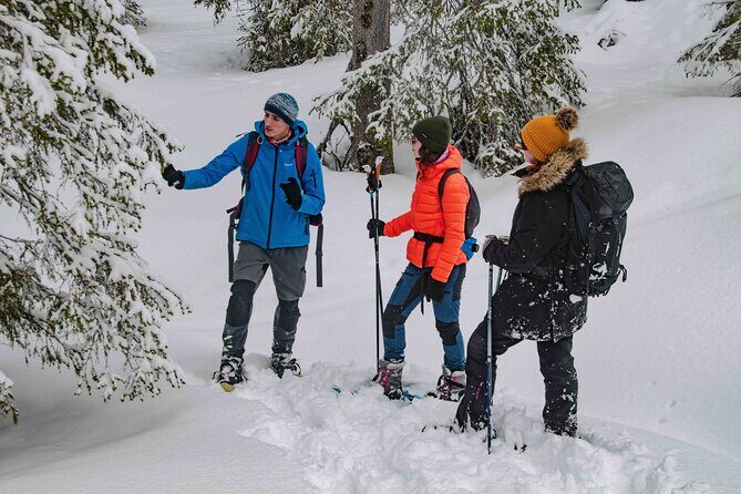 Snowshoeing Adventure with Ice-Fishing, Fire and Survival - Camp Setup and Fire-Starting: Warmth You Build Yourself