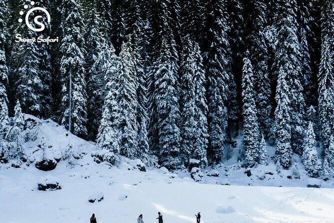 Snowshoeing in Lapland Wilderness - The Snowshoe Walk: Pacing, Distance, and What You’ll Actually Learn