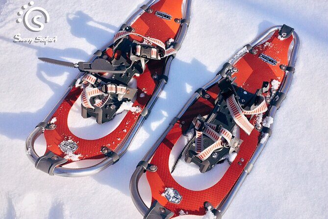 Snowshoeing in Lapland Wilderness - Price and Value in Finnish Lapland: What You’re Really Paying For