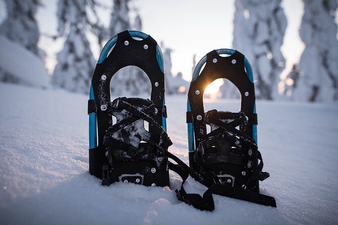 Snowshoeing in the Arctic Circle Wilderness - The walk itself: what to expect on snow and why it feels different