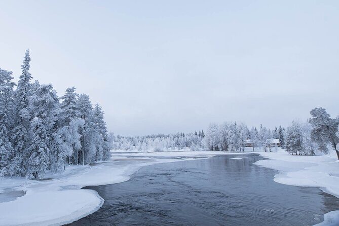 Snowshoeing in the Arctic Circle Wilderness - Who this tour suits best (and who should skip it)