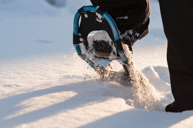 Snowshoeing in the Arctic Circle Wilderness - What you really get: snowshoeing in Lapland, plus the campfire pause
