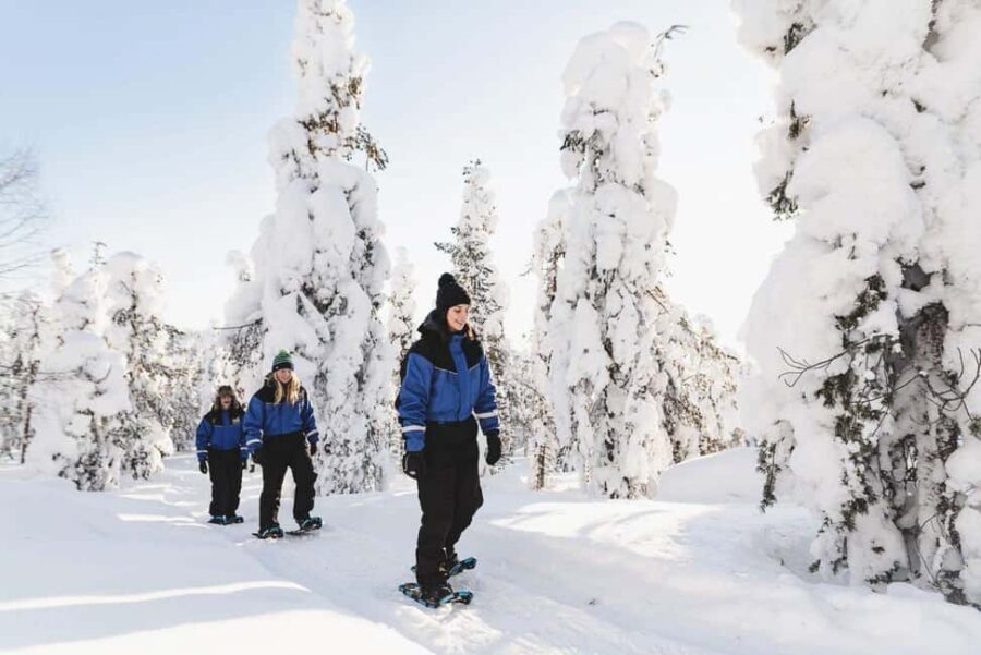Snowshoeing in the Arctic Wilderness - Price and value: what the $140 actually buys