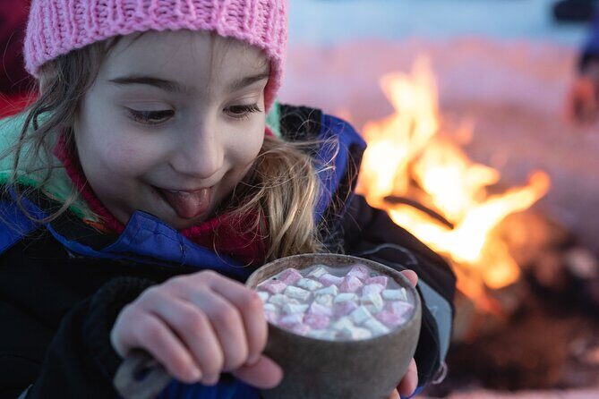 The Hidden Place of Santa - Reindeer Encounters: Sleigh Ride and a Reindeer Driving License