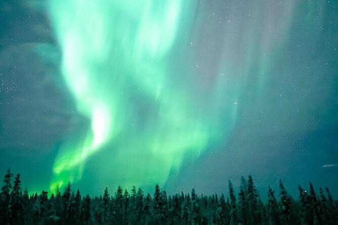 The Ultimate Guaranteed Aurora Hunt - Photos and video: a real perk, with one smart fallback