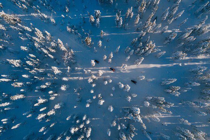 Thrill of Snowmobiling for Adults Only - Weather and Fitness: What Can Change and What You Can Do