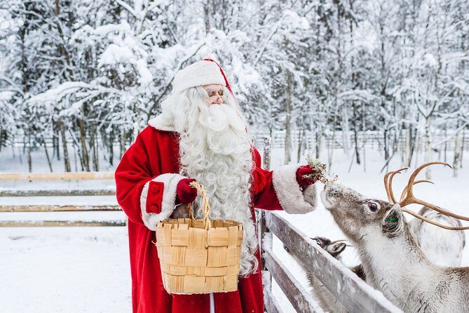 Trip to Arctic Circle, Santa Claus Village and Santas Reindeer - Key highlights at a glance