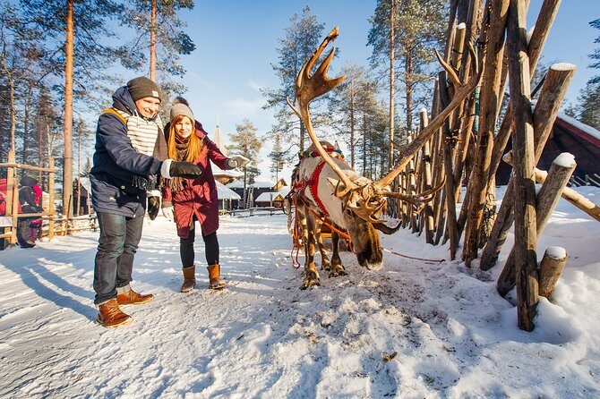 Trip to Arctic Circle, Santa Claus Village and Santas Reindeer - Lunch in the Arctic: Included Comfort, but Manage Expectations