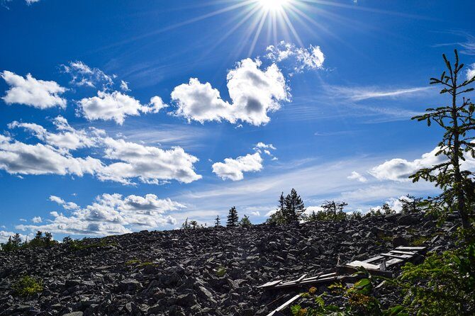 Trip to Pyhä-Luosto National Park and Amethyst Mine - Lunch breaks in the woods: BBQ, comfort food, and coffee stops