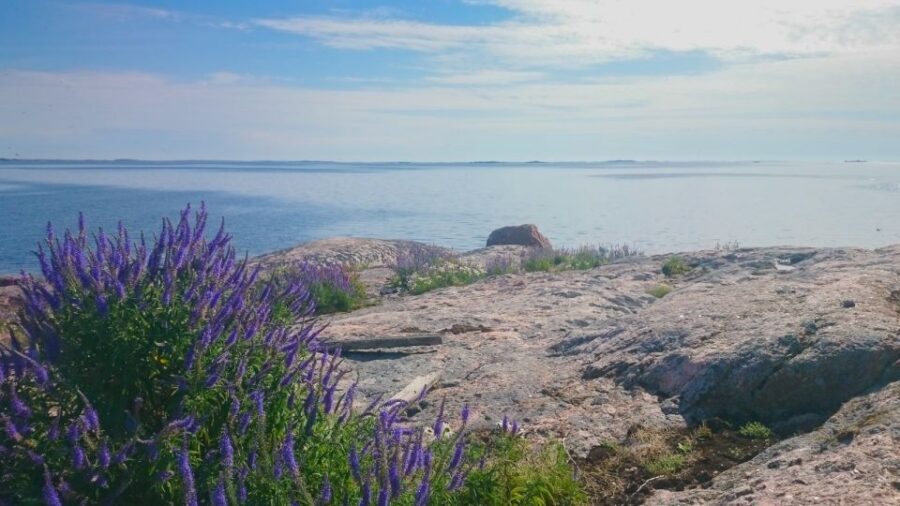 Turku Archipelago: Sea Kayaking Day Tour - What you do on the water (and why the pace feels right)