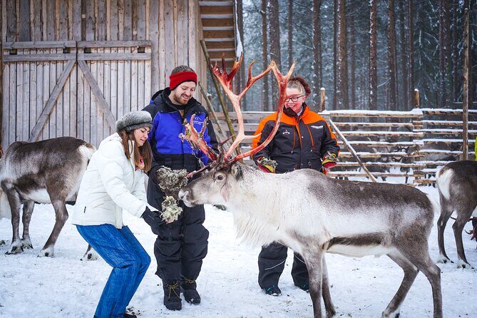 Two Full Days in Lapland - Day 2 at 14:00: Choose Ice Fishing, Survival, or Snowshoeing