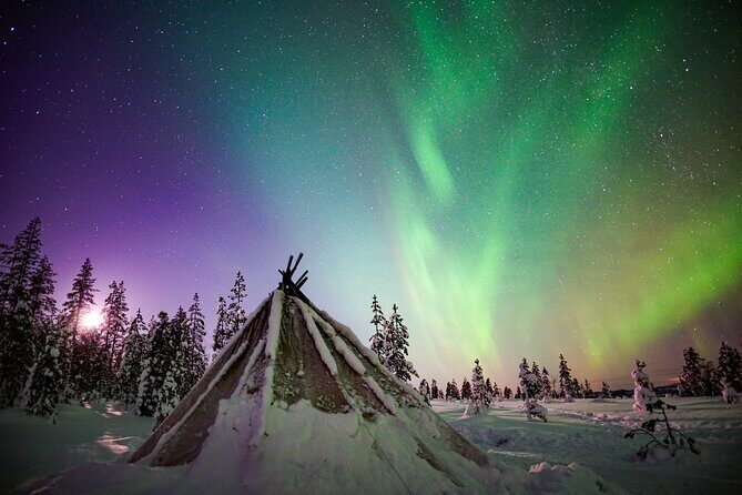 Two Full Days in Lapland - Price and Value: Is $902 Worth It for Two Days?