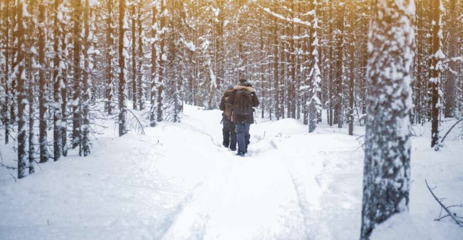 Vikakongas Hike: Nature and Silence - Key things to know before you go