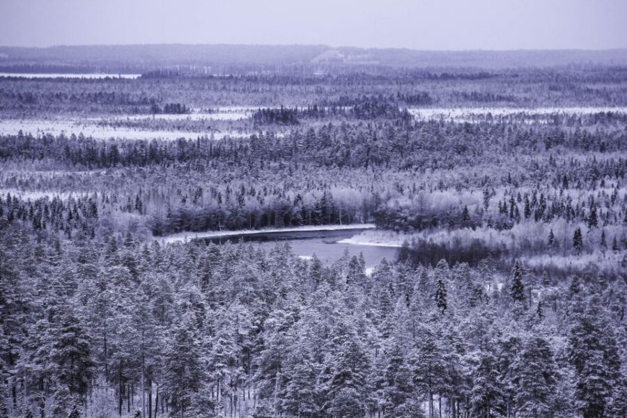 Vikakongas Hike: Nature and Silence - From Rovaniemi pickup to the first cold air hit