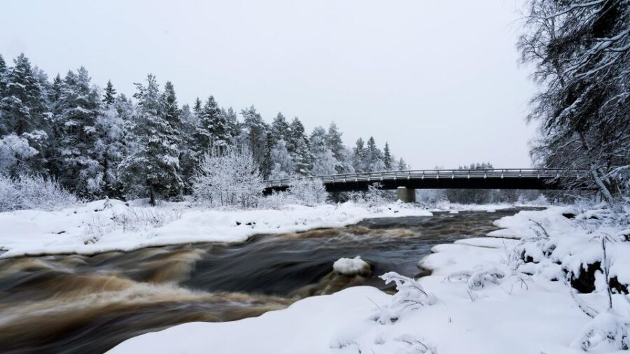 Vikakongas Hike: Nature and Silence - The Vikaköngäs Rapids hanging bridge: river drama on a winter trail
