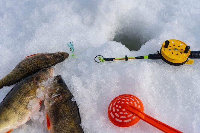 VIP Ice Fishing "ICEBREAKER" Lunch in Glass Igloo - Transfers, timing, and what the 3–4 hours really feel like