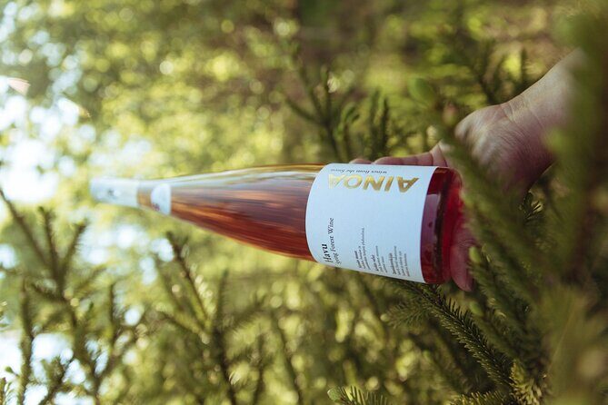 Visit to Authentic Finnish Berry Winery, Tasting Included - Entering the Winery: the Tour of the Production Area