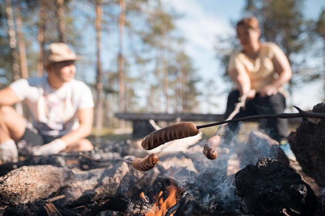 Wild Berries and Mushroom picking tour - Why Wild Foraging in Rovaniemi Feels Different Than Most Tours