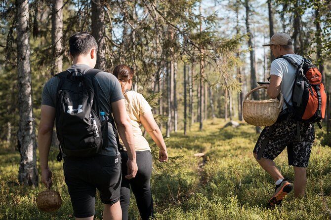 Wild Berries and Mushroom picking tour - Price and What You Actually Get for $104