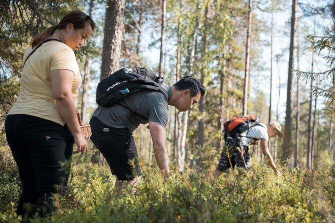 Wild Berries and Mushroom picking tour - Open-Fire Snacks: Coffee, Juice, and a Real Break