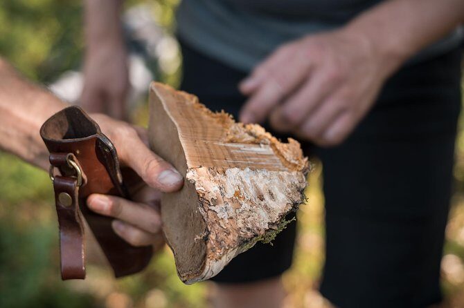Wild Berries and Mushroom picking tour - Timing the Season: Late July to Early October