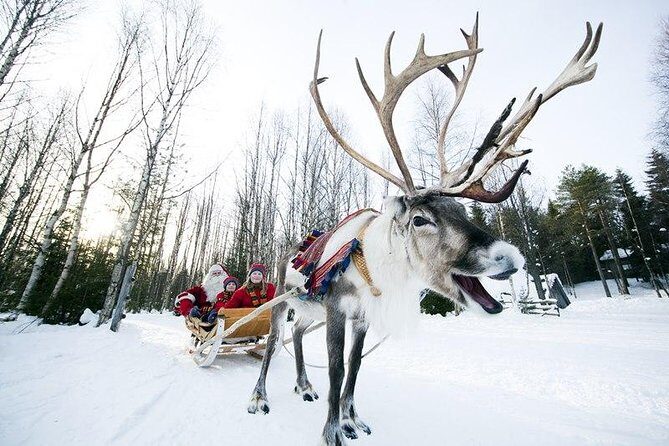 Wild Reindeers Safari + Lunch in Glass Igloo (private service) - Getting suited up: coats, shoes, and why they matter in Lapland