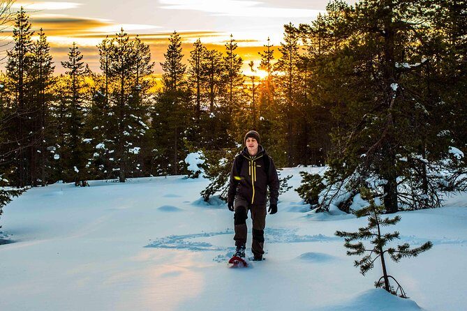 Wilderness snowshoe adventure - Price and value: is $126.16 fair for 3 hours?
