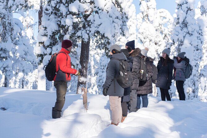 Wilderness Survival Tour - Winter - Reading Snow Tracks: The Arctic Animals You Learn to Spot