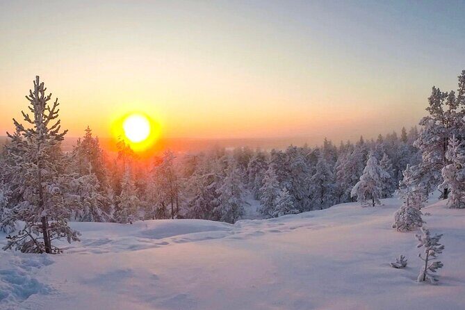 Wilderness Survival Tour - Winter - Guides and Group Dynamics: Small Enough to Feel Personal