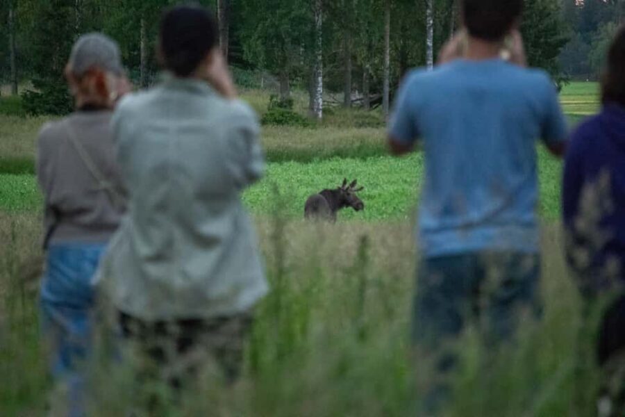 Wildlife safari with campfire dinner from Helsinki - The 5-hour plan: van rides, a 3-hour viewing block, and hotspot stops