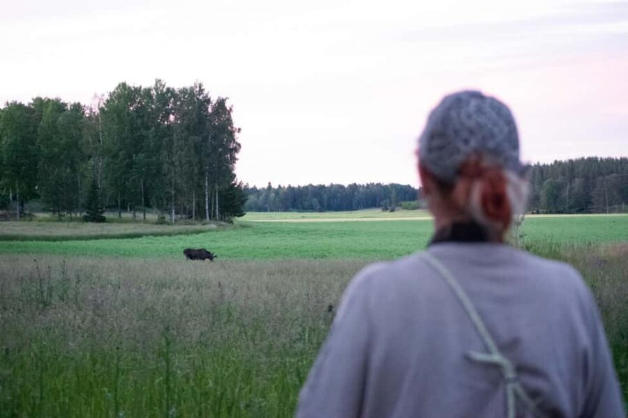 Wildlife safari with campfire dinner from Helsinki - Small group setup: more time looking, less time waiting