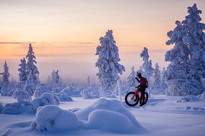 Winter afternoon group Ride in Saariselkä - Stop 2 toward Urho Kekkonen National Park: the best laughs come from powder