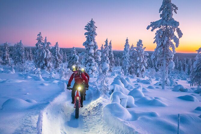 Winter afternoon group Ride in Saariselkä - What’s included (and why it feels like good value)