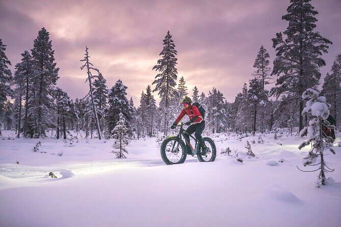 Winter afternoon group Ride in Saariselkä - Ride logistics that matter more than you think