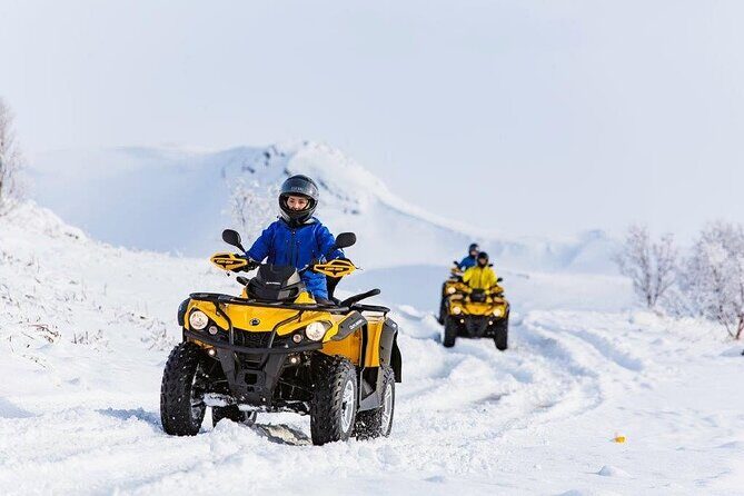 Winter Quad Bike Ride in the Arctic Circle from Rovaniemi - The 3-Hour Arctic Circle Ride: Scenic Forest Routes and Wildlife Chances