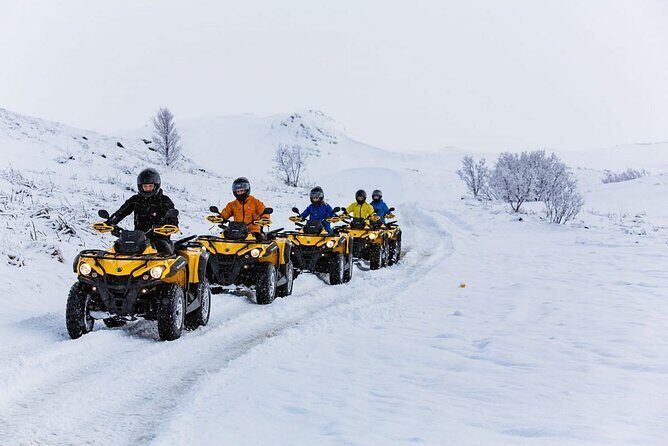 Winter Quad Bike Ride in the Arctic Circle from Rovaniemi - The Break Nobody Skips: Hot Blueberry Juice and Gingerbread