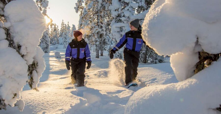 Ylläs: Forest Hike with Snowshoes - Key takeaways before you go