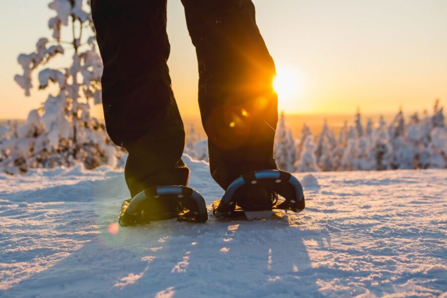 Ylläs: Forest Hike with Snowshoes - Why Ylläsjärvi’s snowshoe walk feels real, not staged
