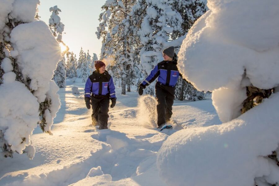 Ylläs: Forest Hike with Snowshoes - Price and value in Ylläs: what $101 gets you