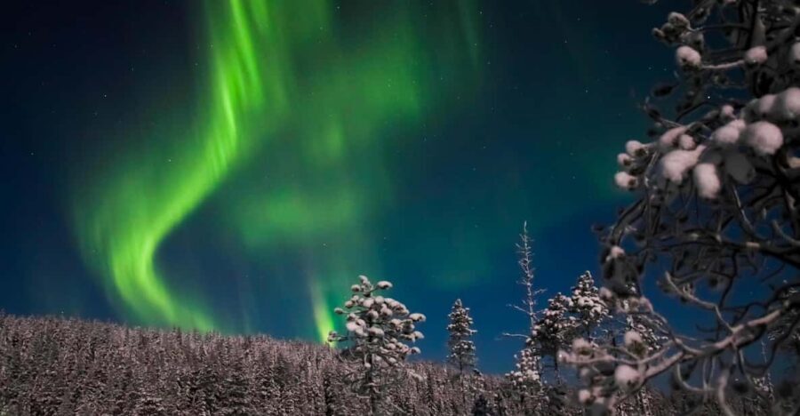 Ylläs: Seeking Northern Lights Photo Tour - Getting there and the meeting point: transfers are included, but hotel pickup is not