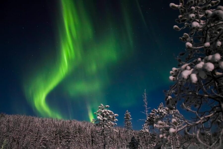 Ylläs: Seeking Northern Lights Photo Tour - Price and value: $140 for guided photos, warm breaks, and transfers